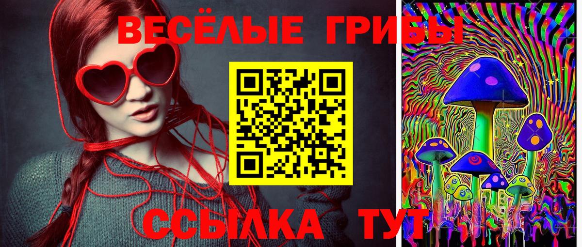 Псилоцибиновые грибы GOLDEN TEACHER Коммунар