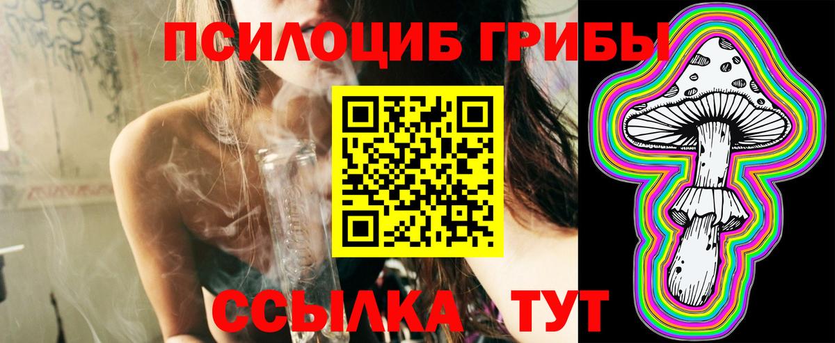 Коммунар  Псилоцибиновые грибы мицелий  Вход с VPN 